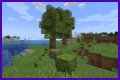 What is an Azalea Tree in Minecraft?